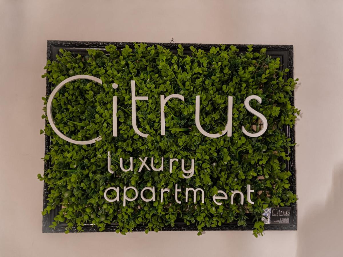 Citrus Luxury Apartment - Holiday Apartment With Up To 3 Bedrooms In Palermo Center 외부 사진